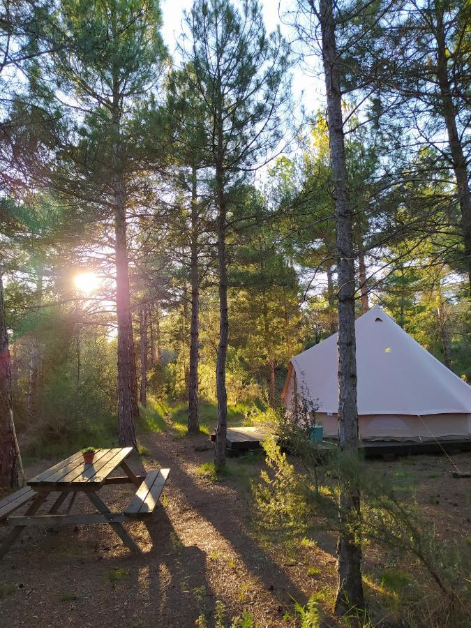 Forest Days Naves  Bagian luar foto