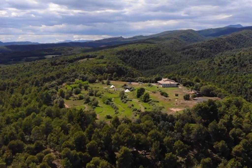 Forest Days Naves  Bagian luar foto