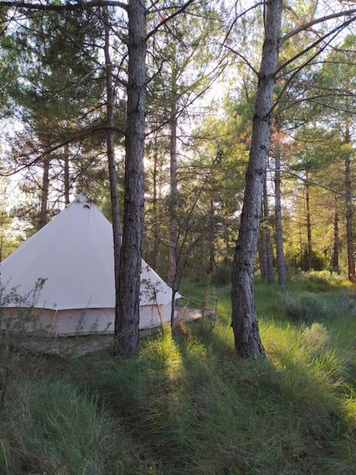 Forest Days Naves  Bagian luar foto