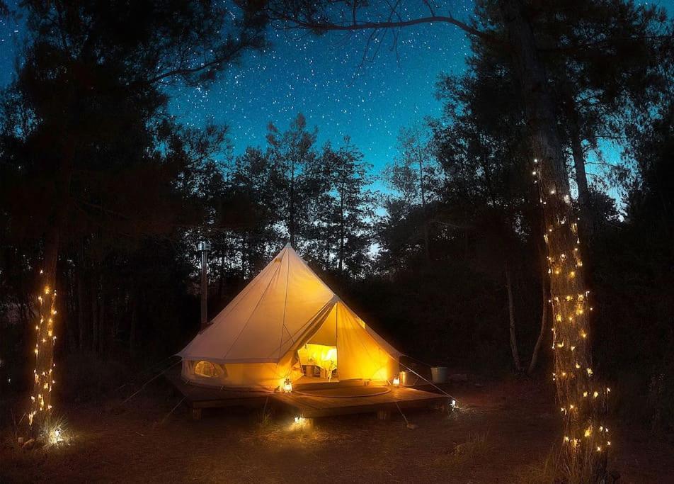 Forest Days Naves  Bagian luar foto