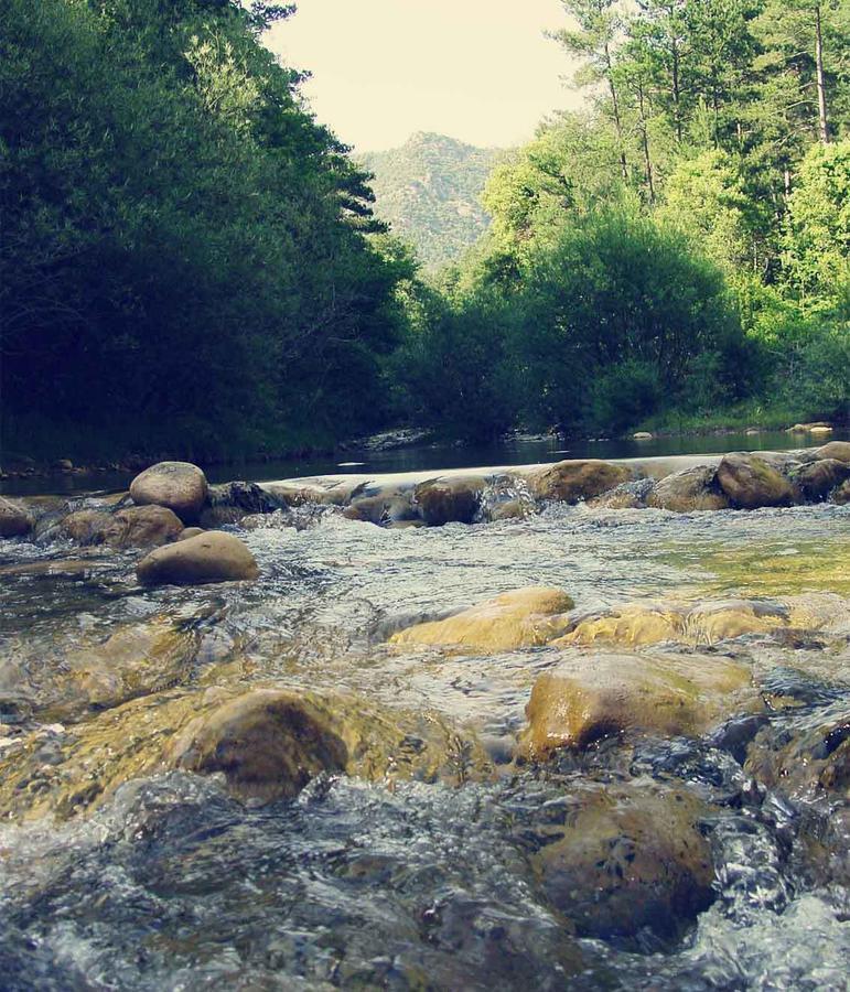 Forest Days Naves  Bagian luar foto