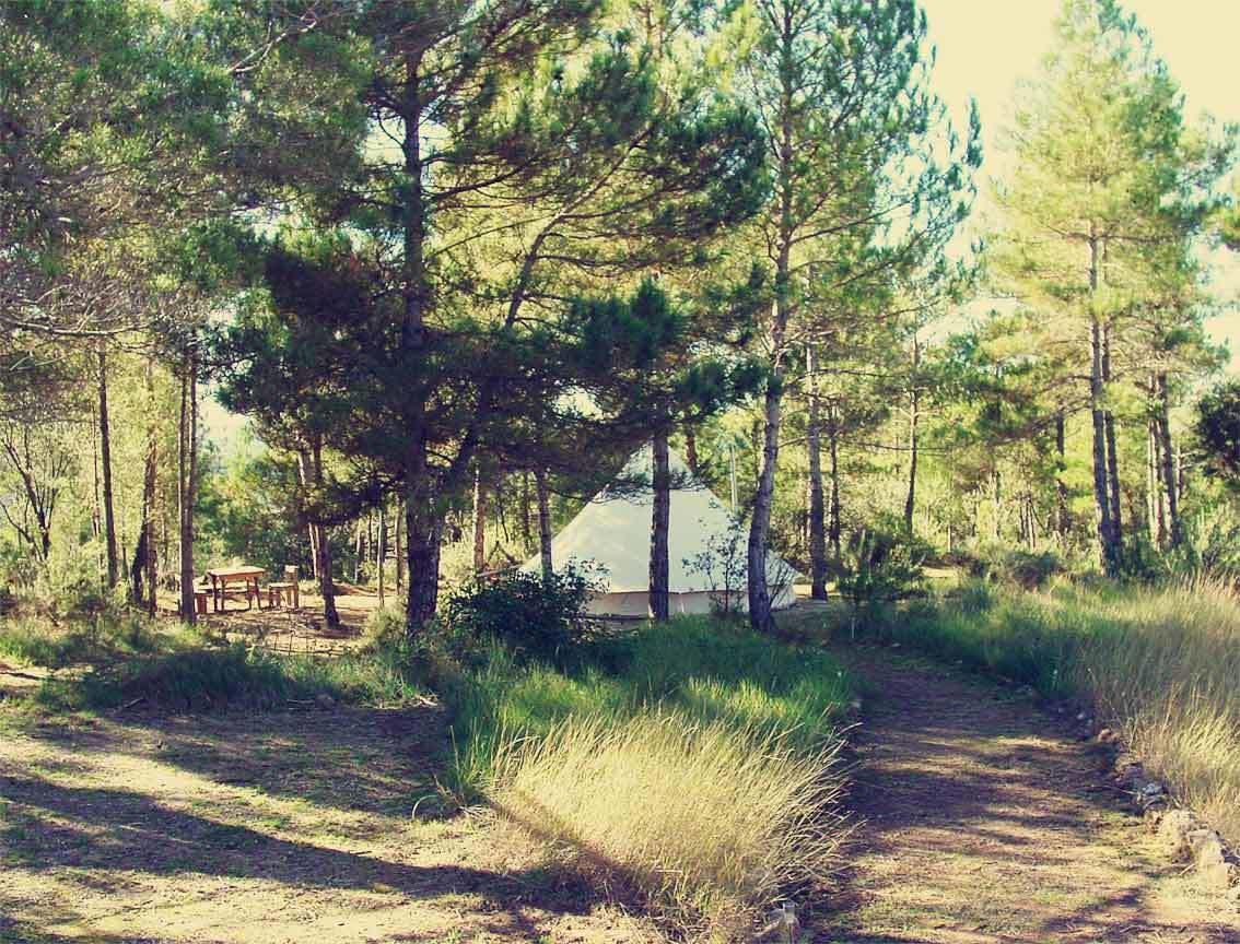 Forest Days Naves  Bagian luar foto