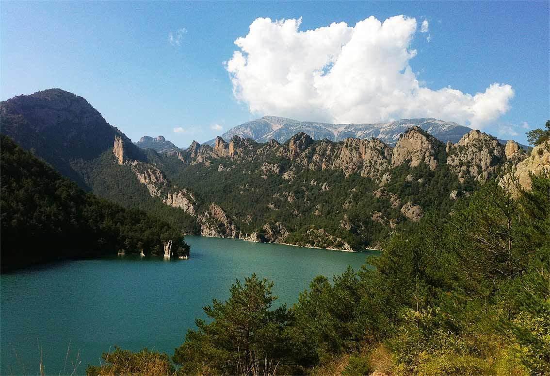 Forest Days Naves  Bagian luar foto