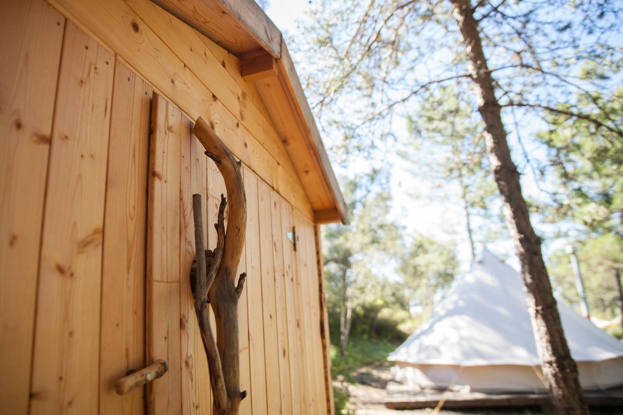 Forest Days Naves  Bagian luar foto